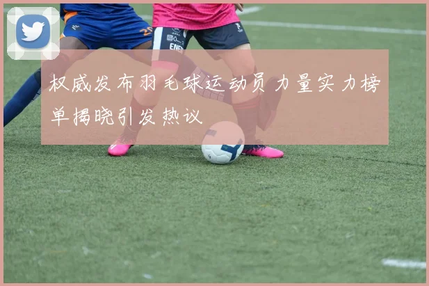 权威发布羽毛球运动员力量实力榜单揭晓引发热议