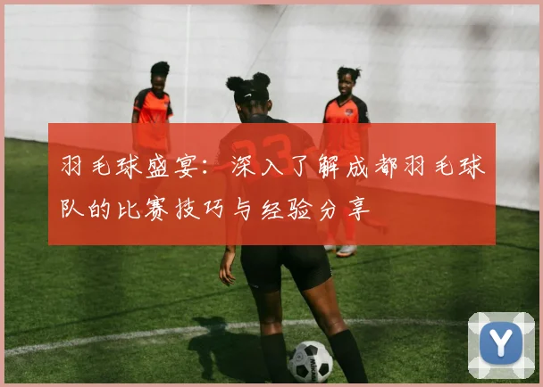 羽毛球盛宴：深入了解成都羽毛球队的比赛技巧与经验分享