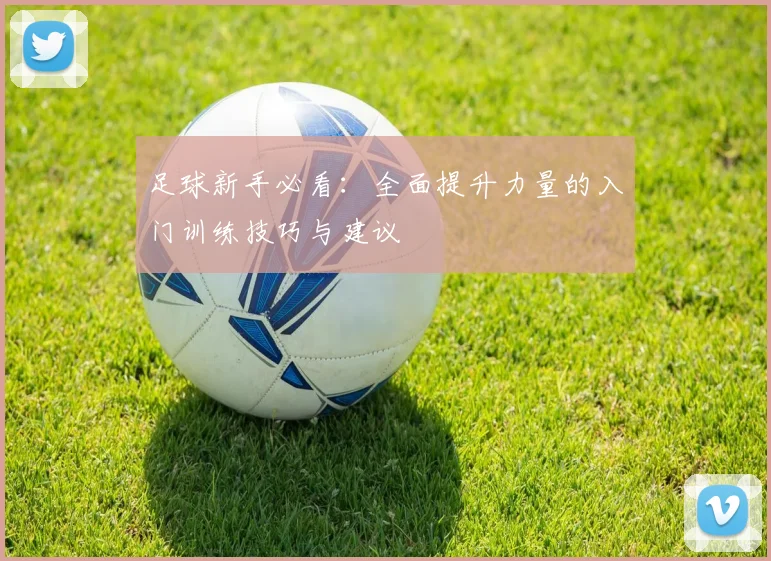 足球新手必看：全面提升力量的入门训练技巧与建议
