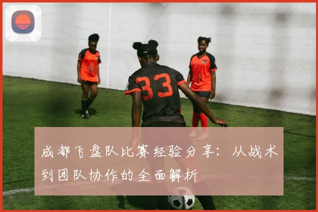 成都飞盘队比赛经验分享：从战术到团队协作的全面解析
