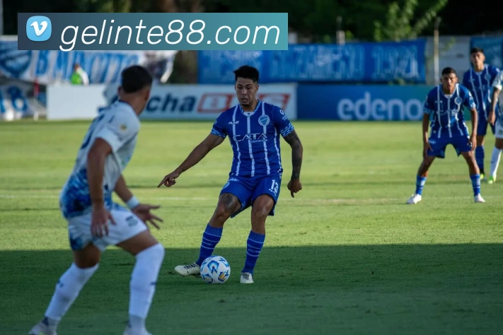 奖项证书